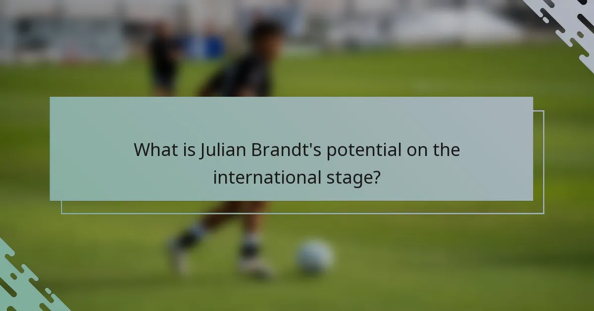 What is Julian Brandt's potential on the international stage?